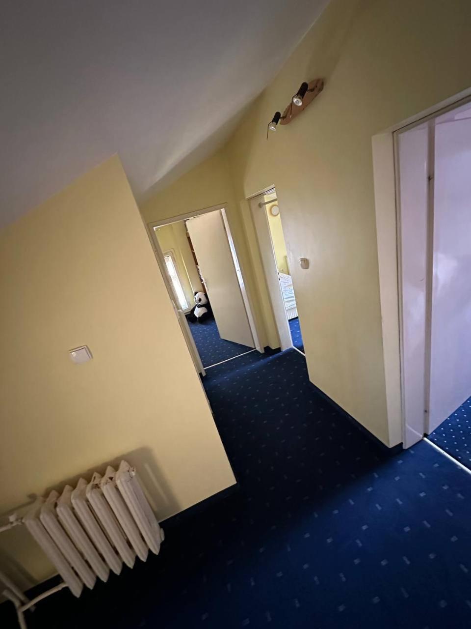 Daire Cosy, Quiet House With Vitosha View Near Paradise